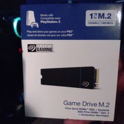 Game Drive M.2 SSD for PS5