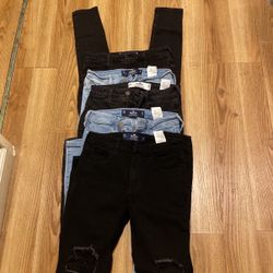 Pants