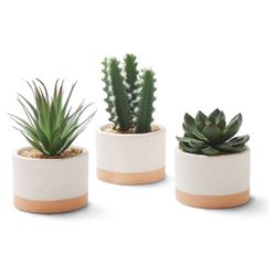 SMALL ARTIFICIAL SUCCULENT SET