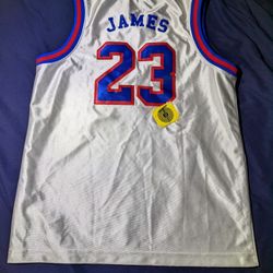 Nike Lebron X DNA TinesSquad Jersey And Shorts Kids Size XL