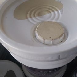 BEHR Blocking paint New o