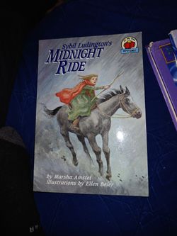 2nd grade chapter book