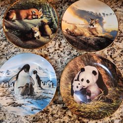 13 Collectible Wildlife Plates.  One Low Price 