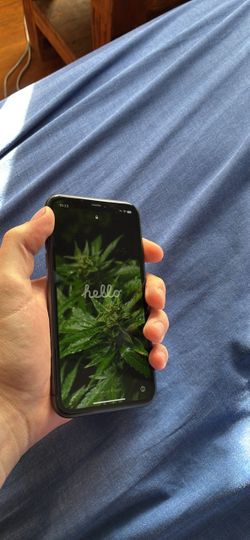 Refurbished iPhone 11