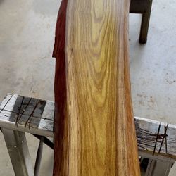Live Edge Wood Slabs