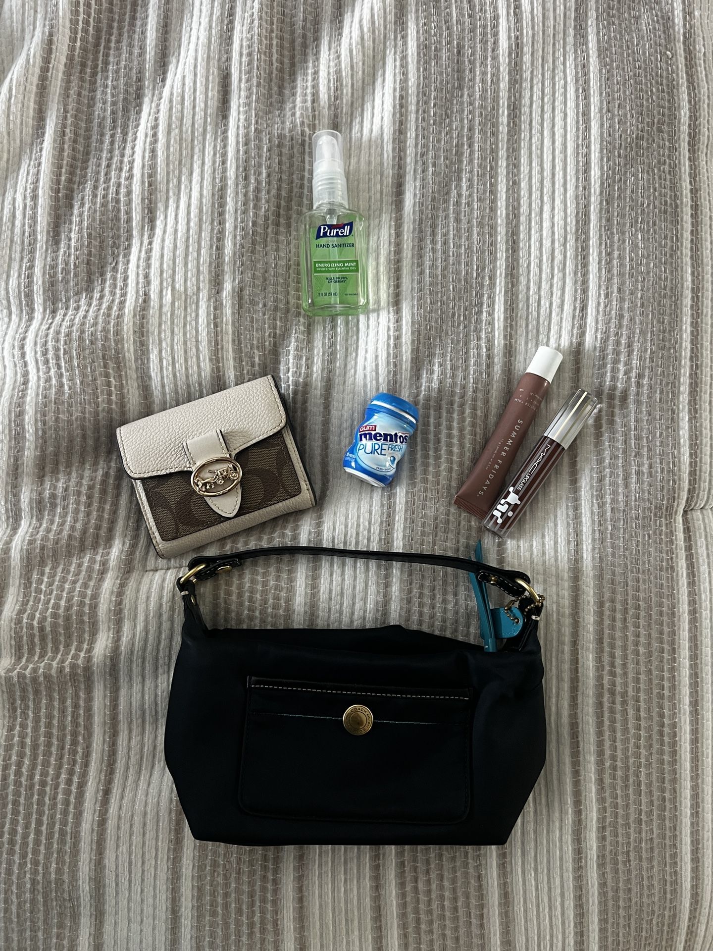 Coach Mini Purse