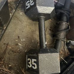 35 Lb Dumbbell 
