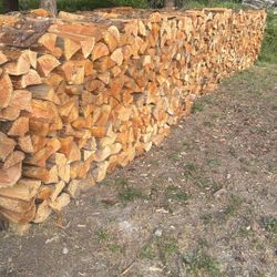 Dry Firewood