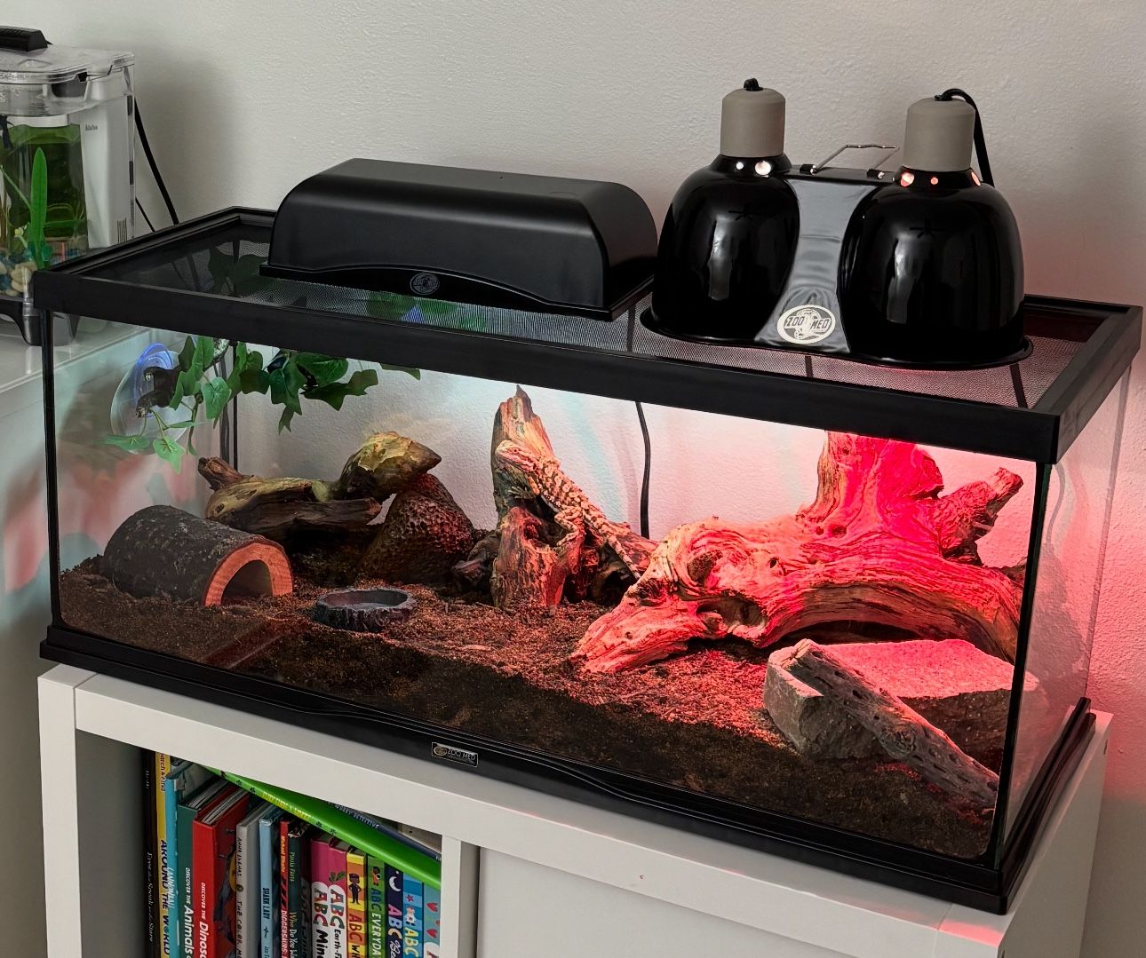 29 Gallon Acrylic Tank with Mesh Lid