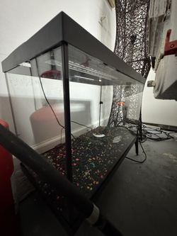 20 GALLON FISH TANK