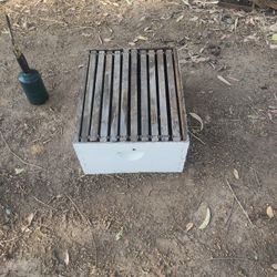 Bee Hive