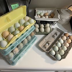 Farm Fresh Free Range Chicken Eggs