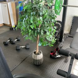 30$ Nice Fake Plant Tree