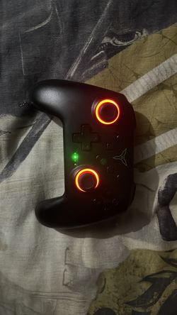 Nintendo switch controller (no carger included)