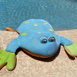 Pool Float Big Joe Pool Petz Frog