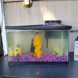 has filter, heater, food, filter cartridge and 4 goldfish