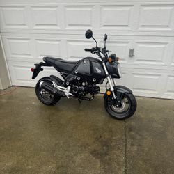 2023 Honda GROM