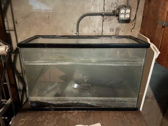 Fish Tank 
