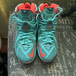 Nike LeBron 12 NSRL