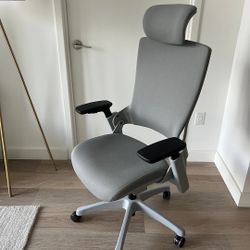 CLATINA Mellet Ergonomic Office Chair