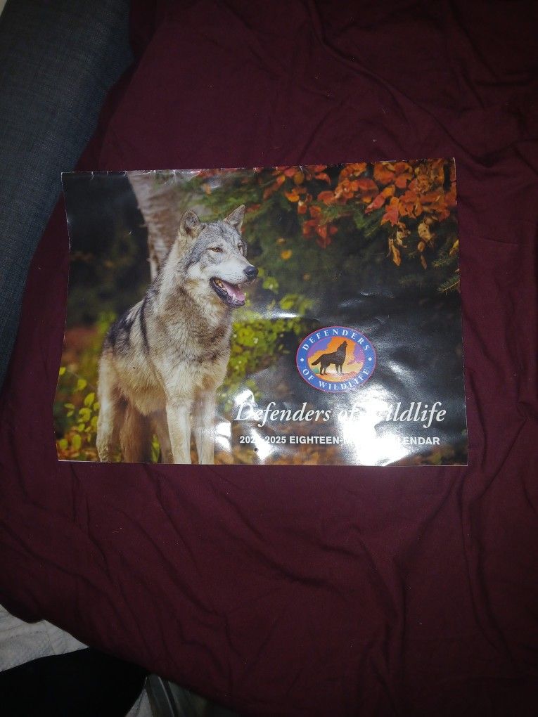 2 New 2025 Calenders
