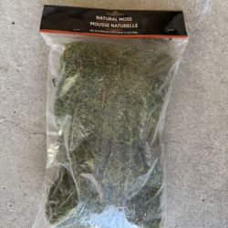 Fake Moss