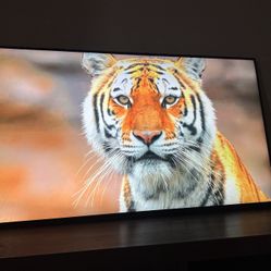 55 INCH VIZIO SMART TV WITH ORIGINAL KEYBOARD REMOTE