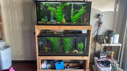 Double decker 55 gallon tanks