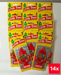 Little tree car air freshener