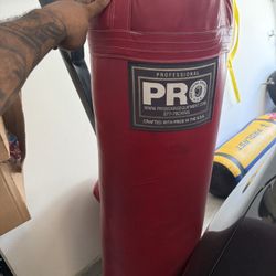 Punching Bag 