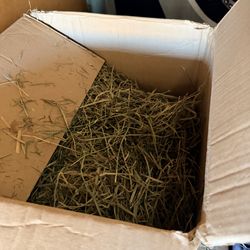 Small pet Timothy hay