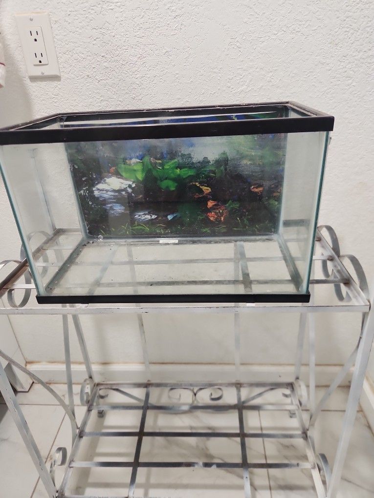 5 Gallon Fish Tank