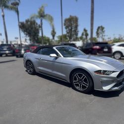 Mustang EcoBoost Convertible 