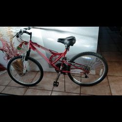 Bicicleta 24