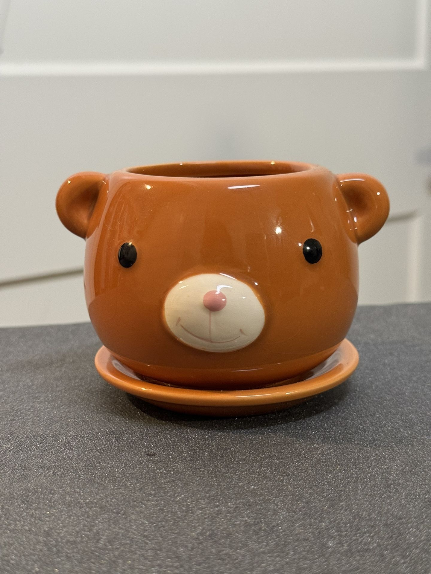 Daiso Art | Cute Animal Succulent Ceramic Flower Pot With Drainage Hole 3.74"X2.36"X2.75 | Model: Bear | Size: 3.74"X2.36"X2.75