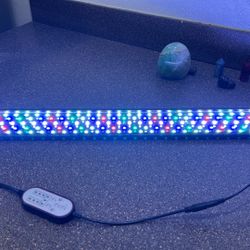 24 Hour Aquarium Light 29.5” - 38” Long