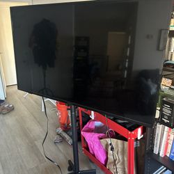 Insignia 50 Inch Tv
