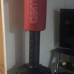 Punching Bag With Gloves 
