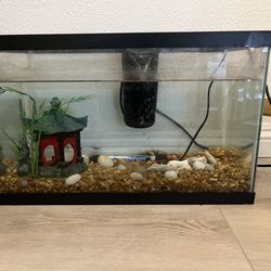 Fish And Tanks With Heater Filte Deco