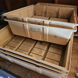 Eb And Flow Grow Trays And Hps Grow Light And Hood. 