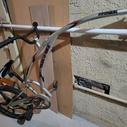 Trailer Bike Tag Along 