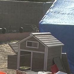 Chicken House