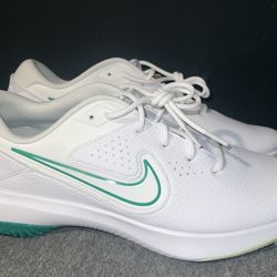 Nike Air Zoom Victory Pro 3