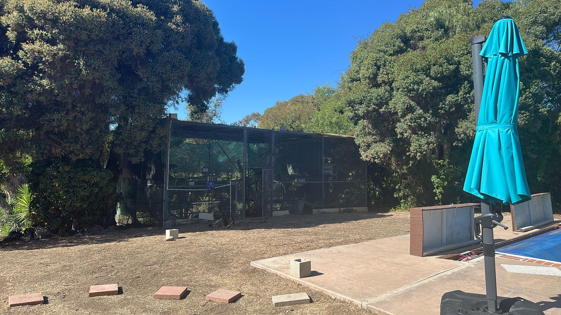 Aviary, Bird Cage Supplies And Enclosure