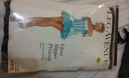 Cinderella costume