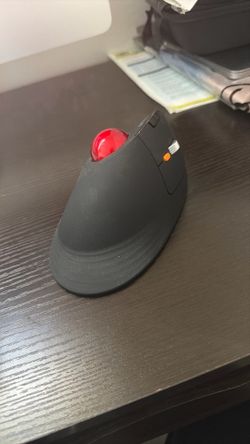 ProtoArc EM05 wireless ergonomic trackball mouse. 
