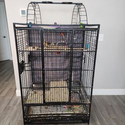 Bird Cage