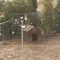 Large Dog House $80 OBO