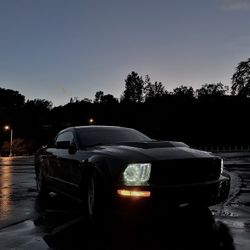 Mustang