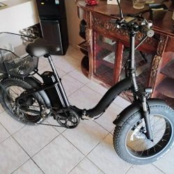Electric Bike